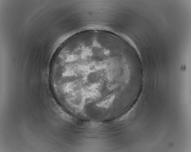 X0000091950831200709271324