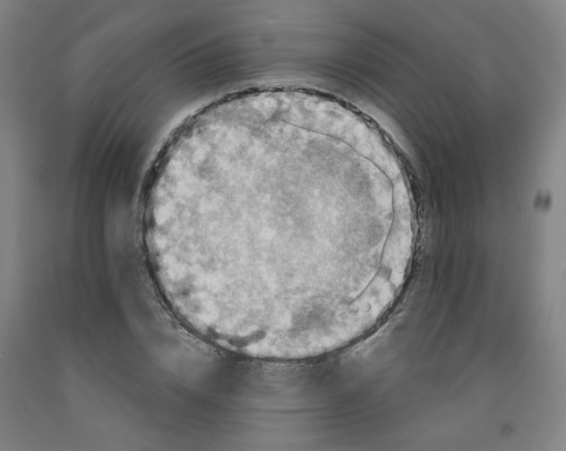 X0000091950832200709271324