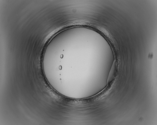 X0000091950834200709271324