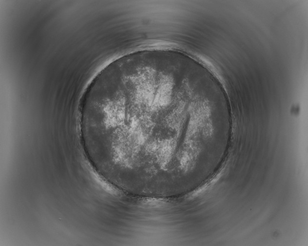 X0000091950835200709271324