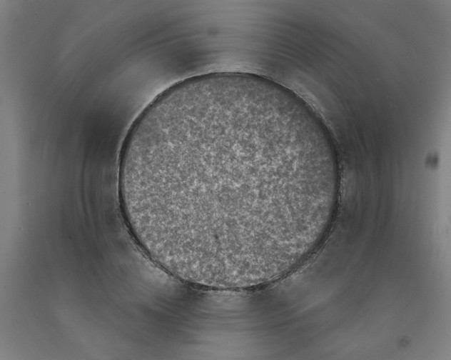 X0000091950836200709271324