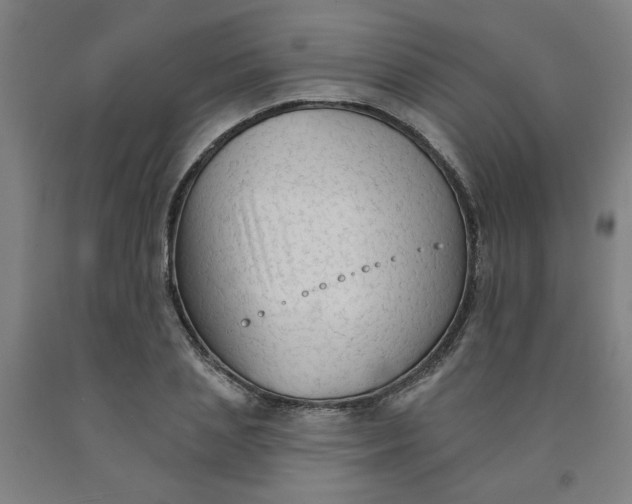 X0000091950837200709271324