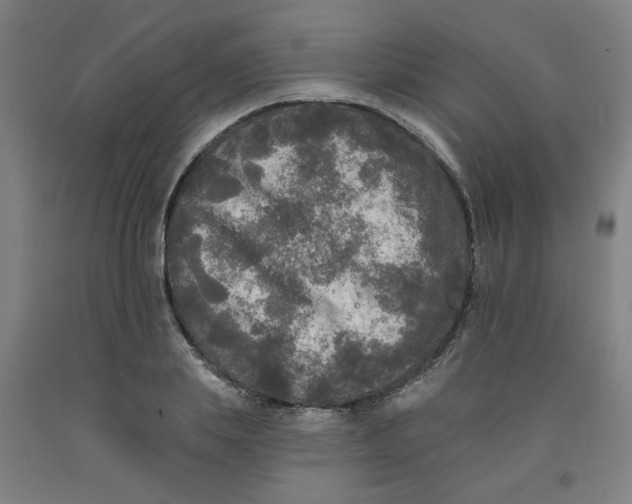 X0000091950839200709271324