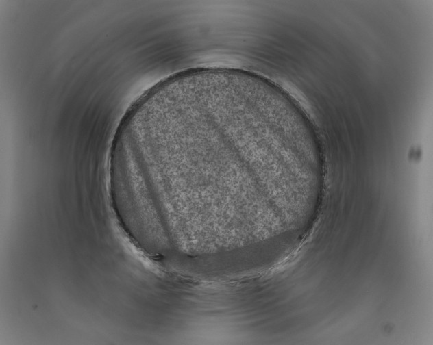 X0000091950840200709271324