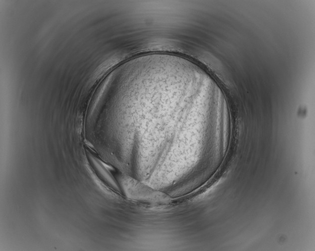 X0000091950841200709271324