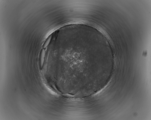 X0000091950842200709271324