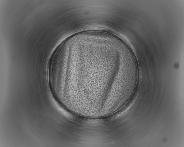 X0000091950843200709271324