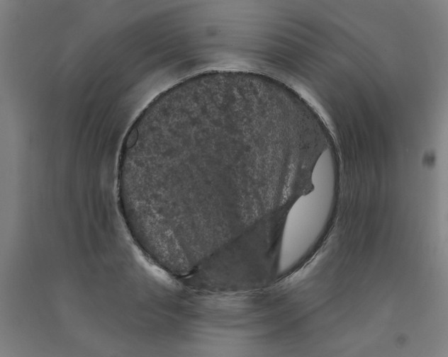 X0000091950845200709271324