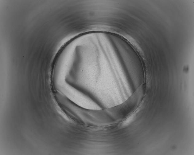 X0000091950846200709271324