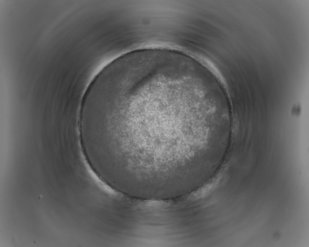 X0000091950847200709271324