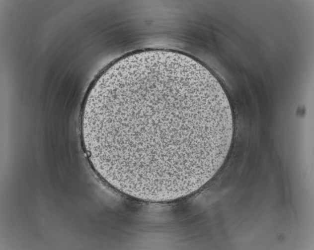 X0000091950848200709271324