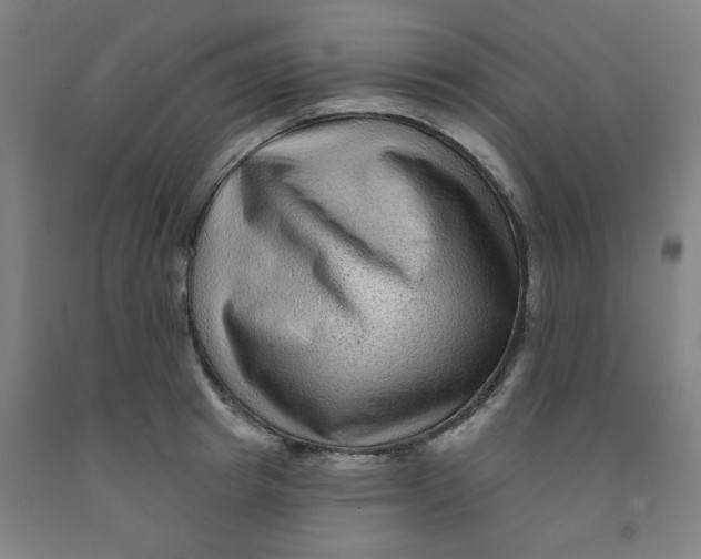 X0000091950849200709271324