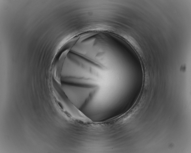 X0000091950850200709271324