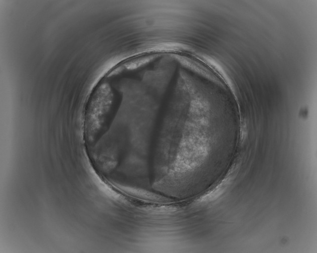 X0000091950851200709271324