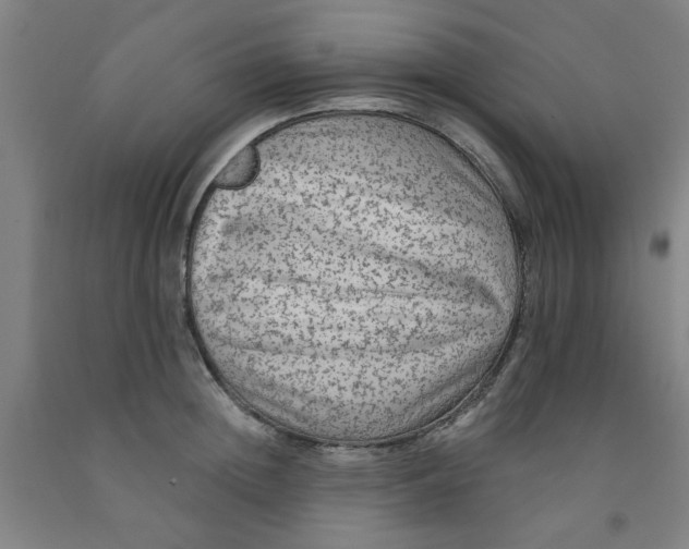 X0000091950852200709271324