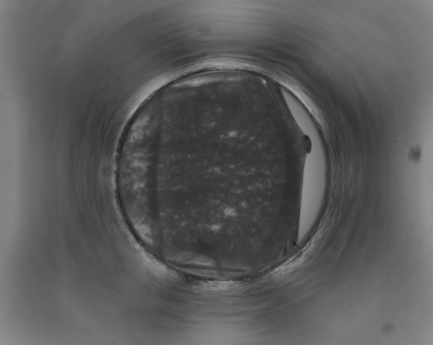 X0000091950853200709271324