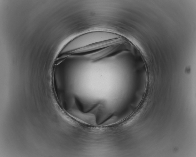 X0000091950854200709271324