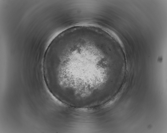 X0000091950855200709271324