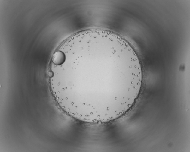 X0000091950856200709271324