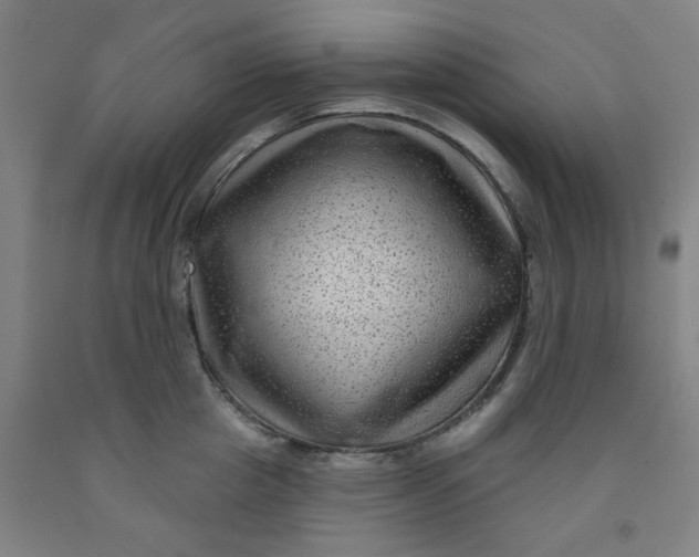 X0000091950857200709271324