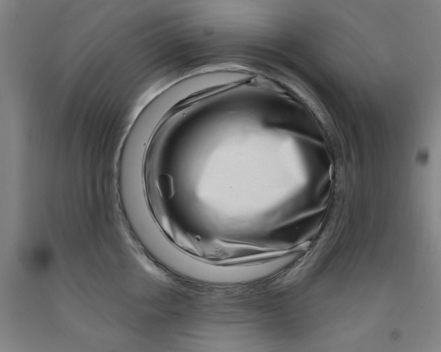 X0000091950858200709271324