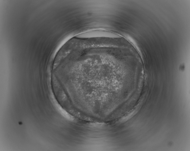 X0000091950859200709271324