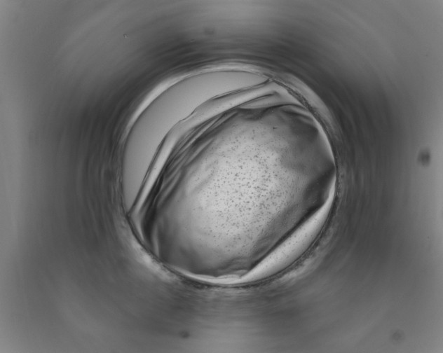 X0000091950860200709271324