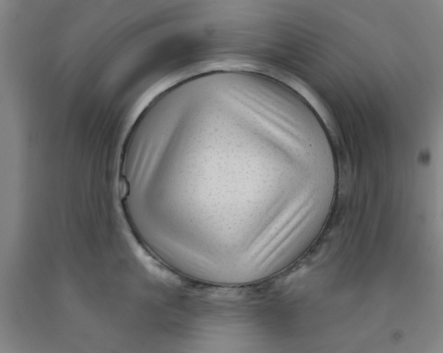 X0000091950861200709271324