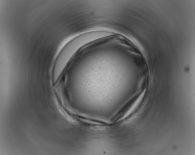 X0000091950862200709271324