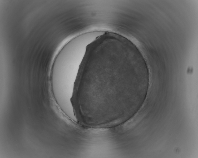 X0000091950864200709271325