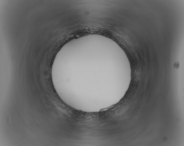 X0000091950865200709271324