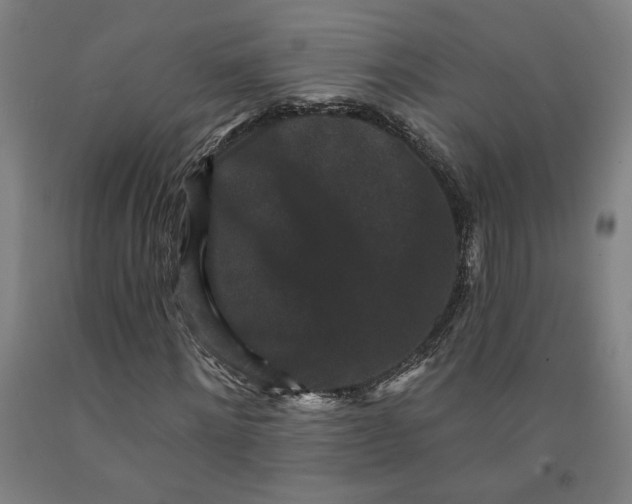 X0000091950868200709271324