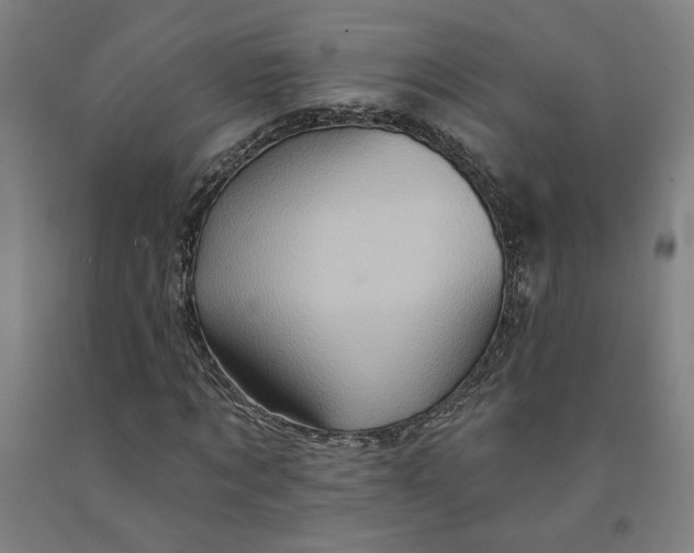 X0000091950869200709271324