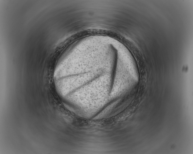 X0000091950870200709271324