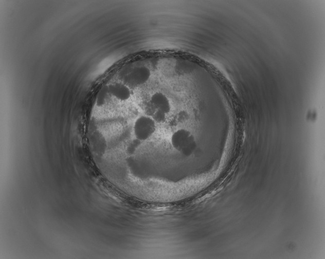 X0000091950871200709271324