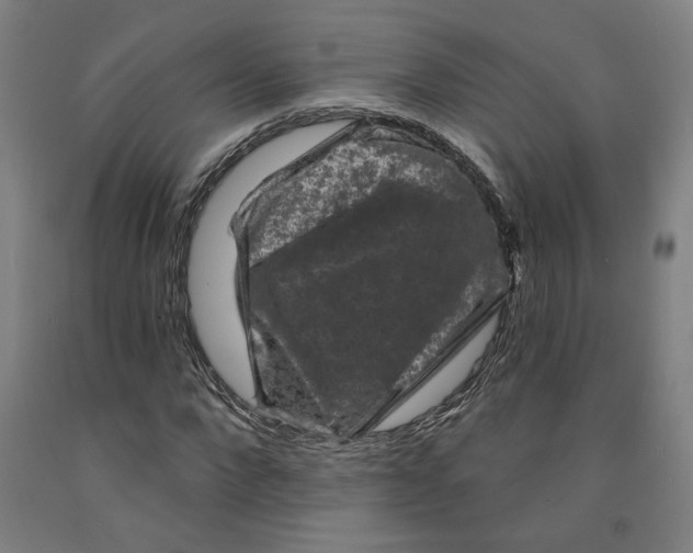 X0000091950872200709271324