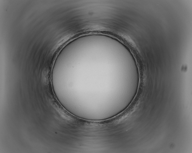 X0000091950873200709271324