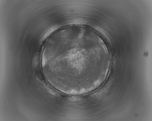 X0000091950874200709271324