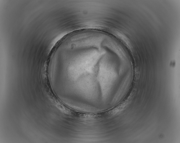 X0000091950875200709271324