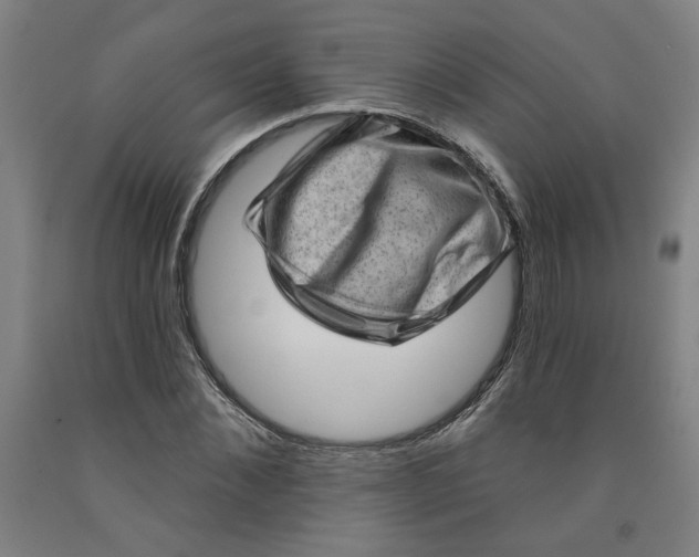 X0000091950876200709271324