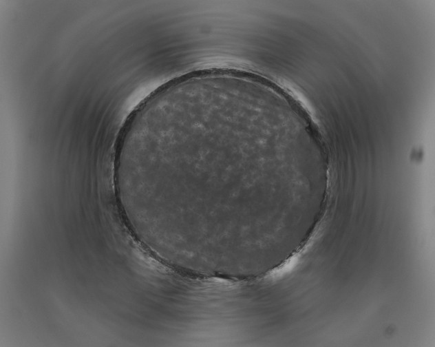 X0000091950877200709271324