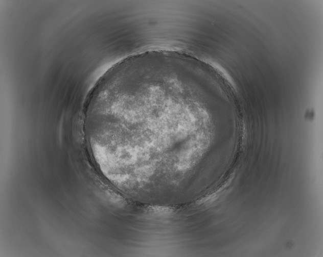 X0000091950878200709271324