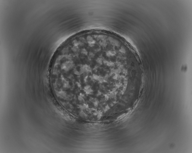 X0000091950879200709271324