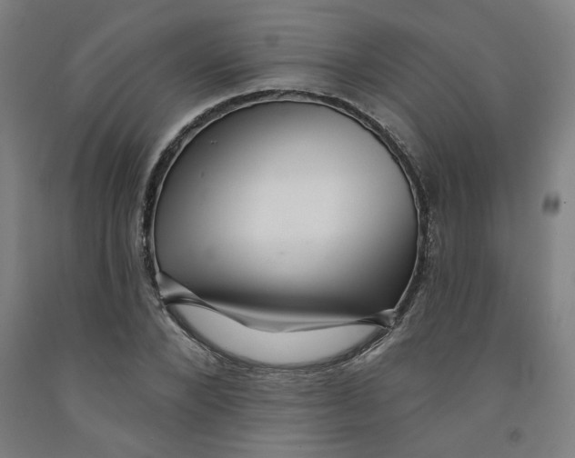 X0000091950880200709271324