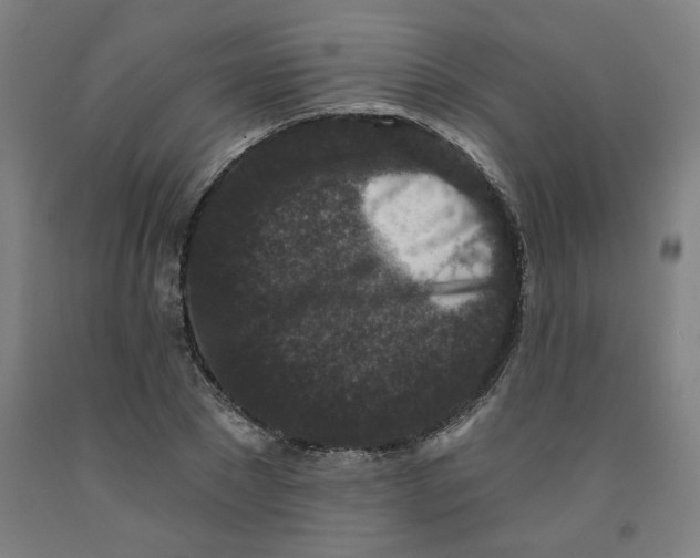 X0000091950881200709271324