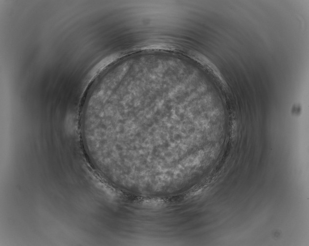 X0000091950882200709271324