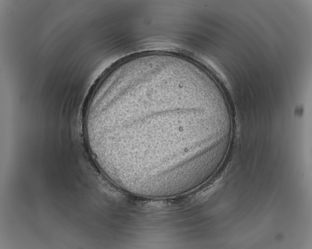 X0000091950883200709271324