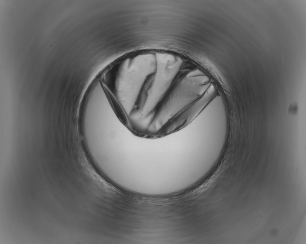 X0000091950884200709271324