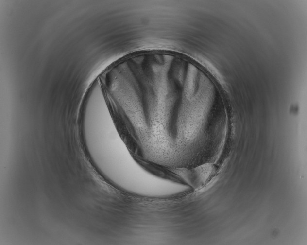 X0000091950885200709271324