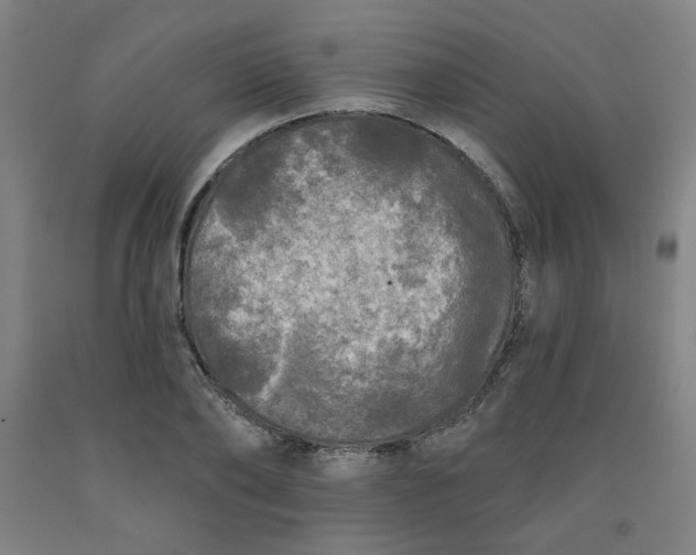 X0000091950886200709271324